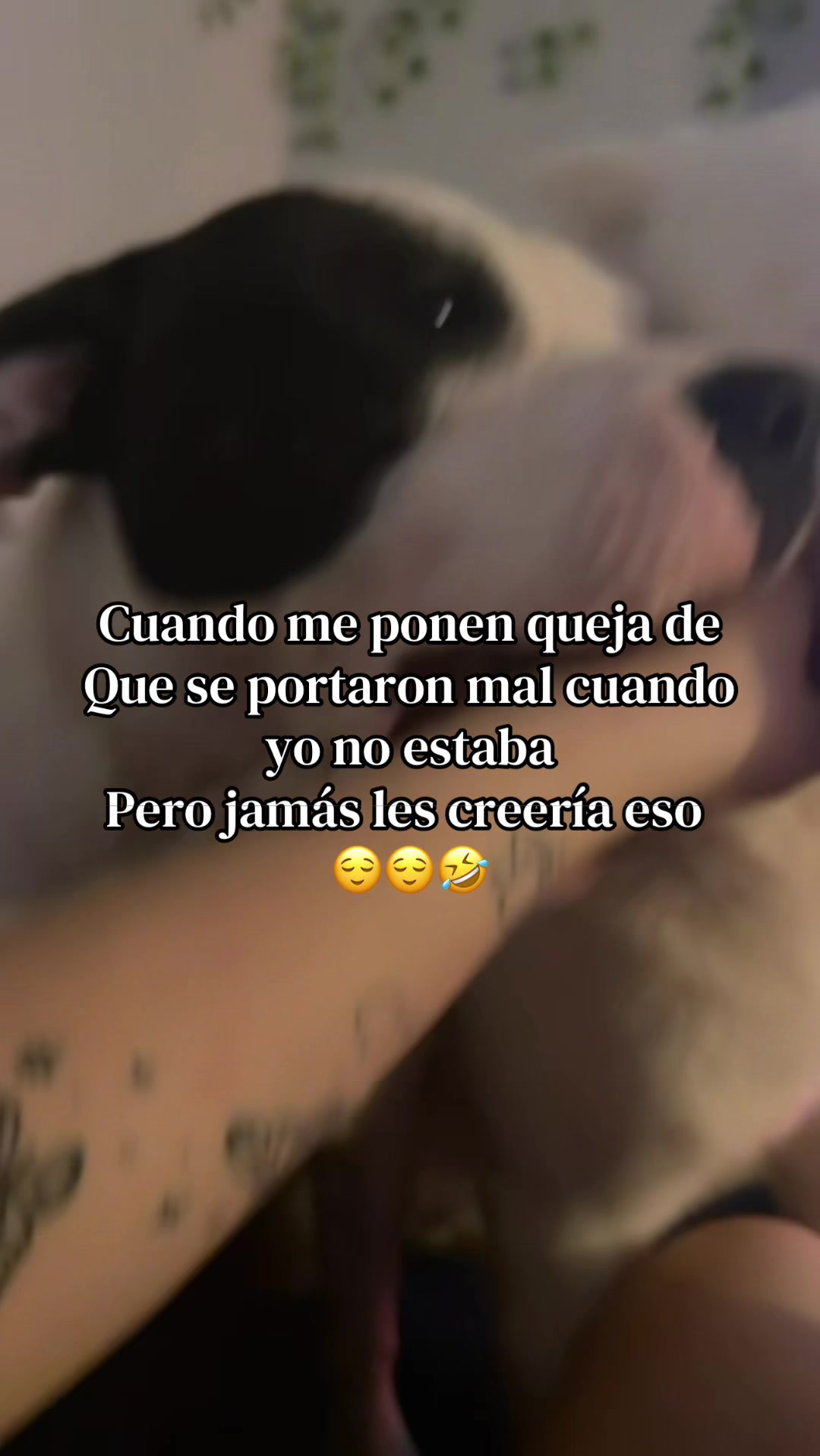 @Vanessa Mendoza