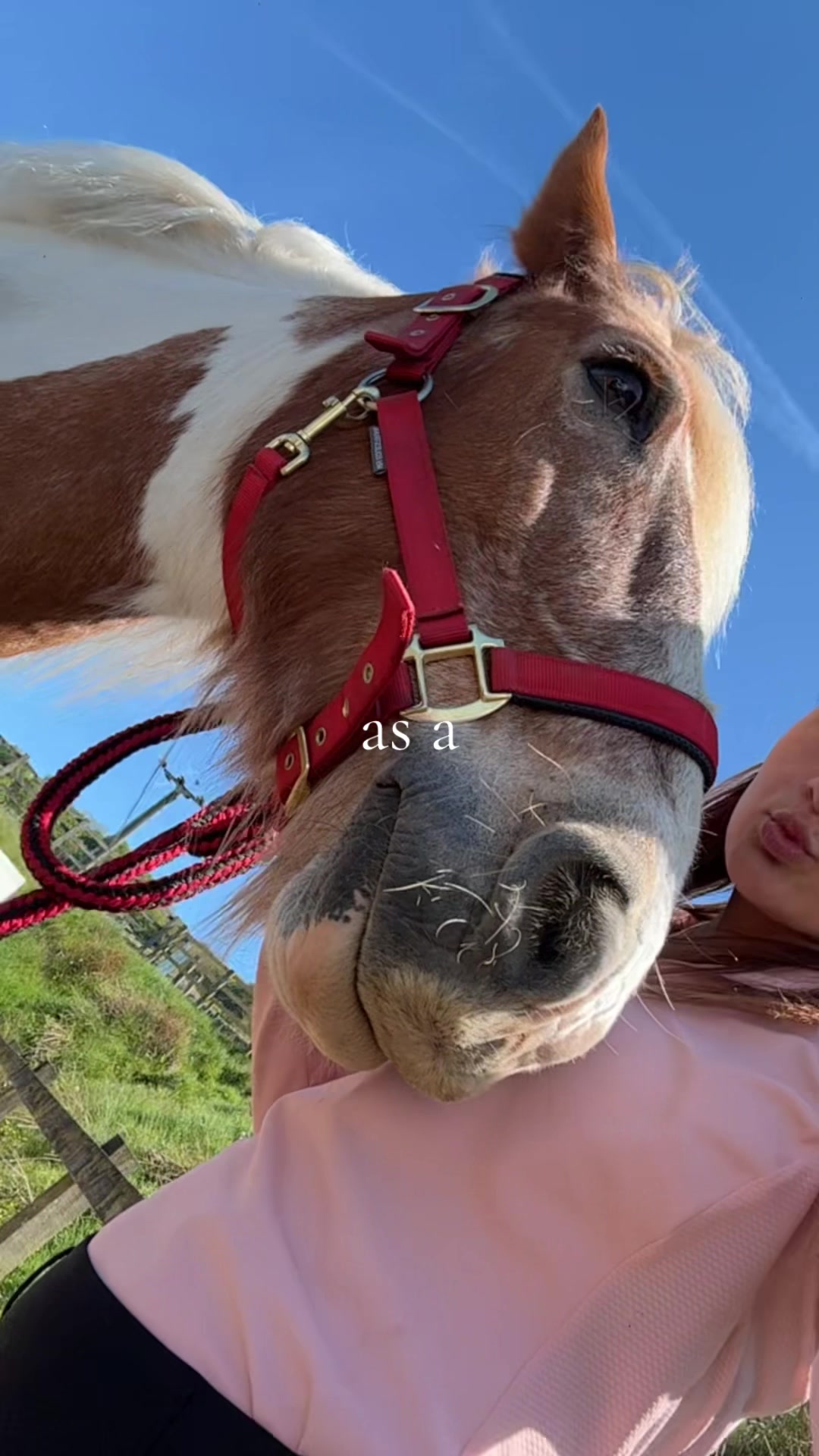 @lottie⚜️🫶🏽