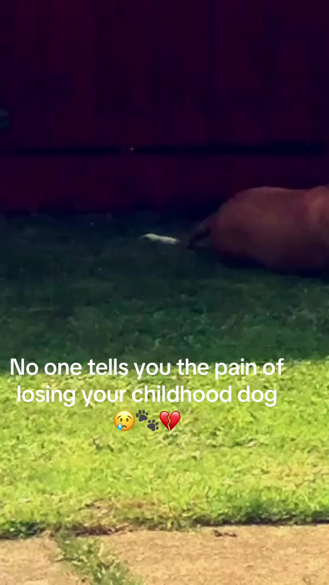 @Abi