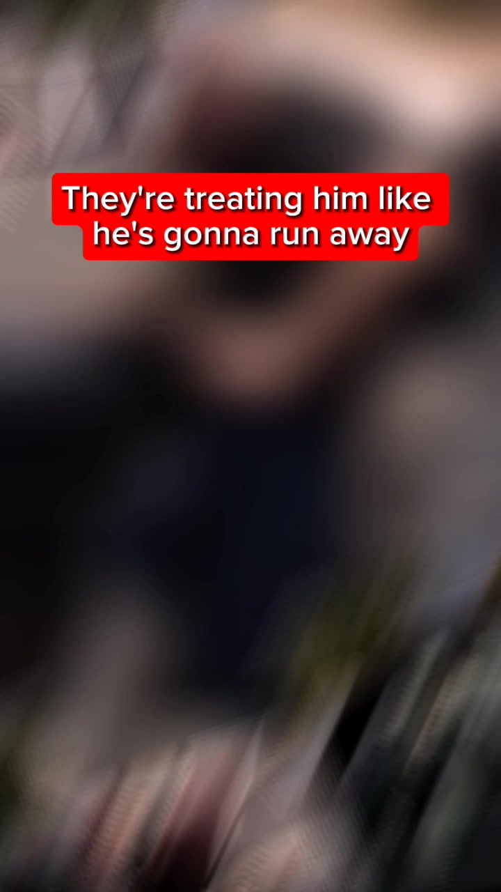 @User736_63