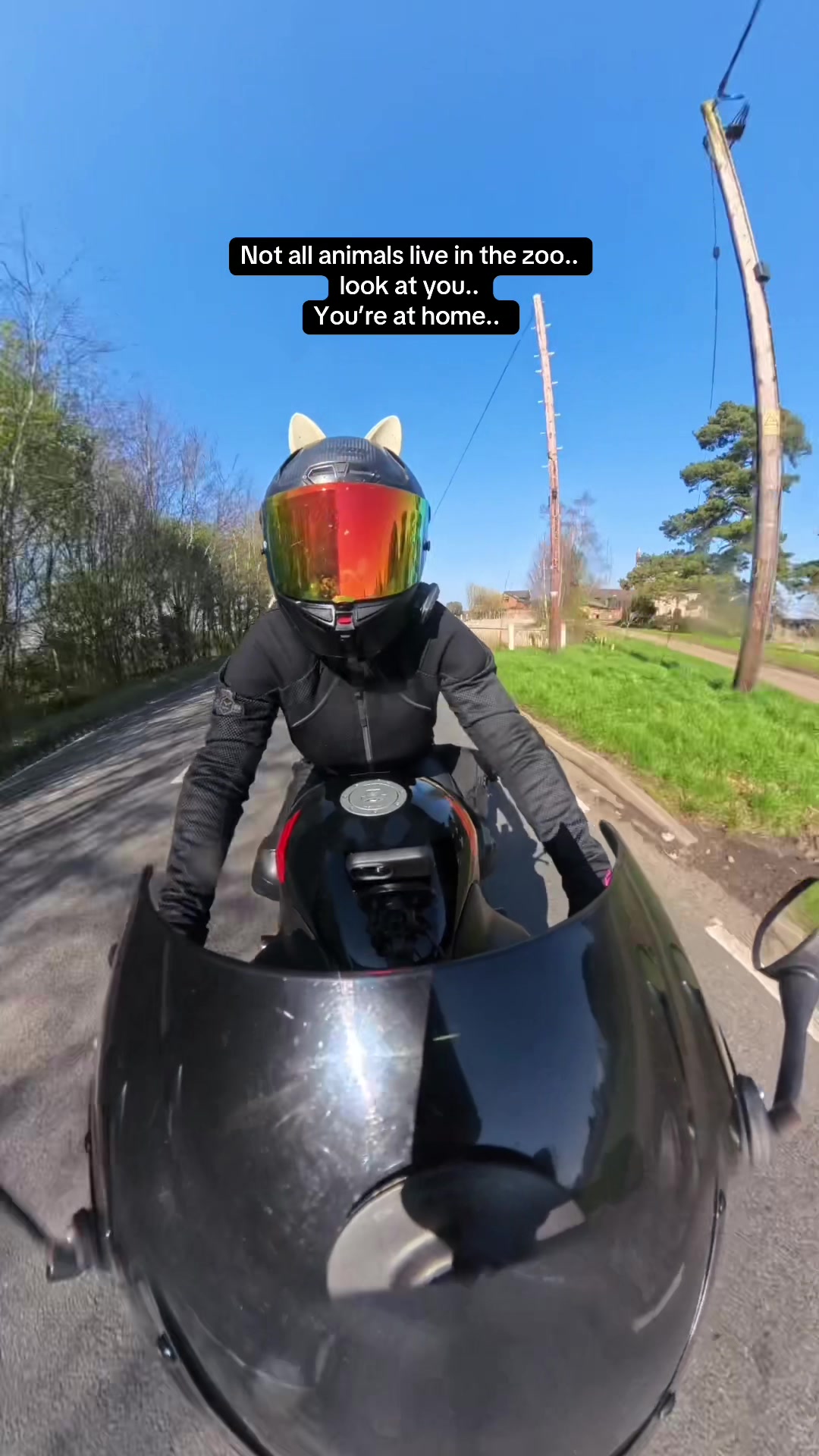 @KimCBR600