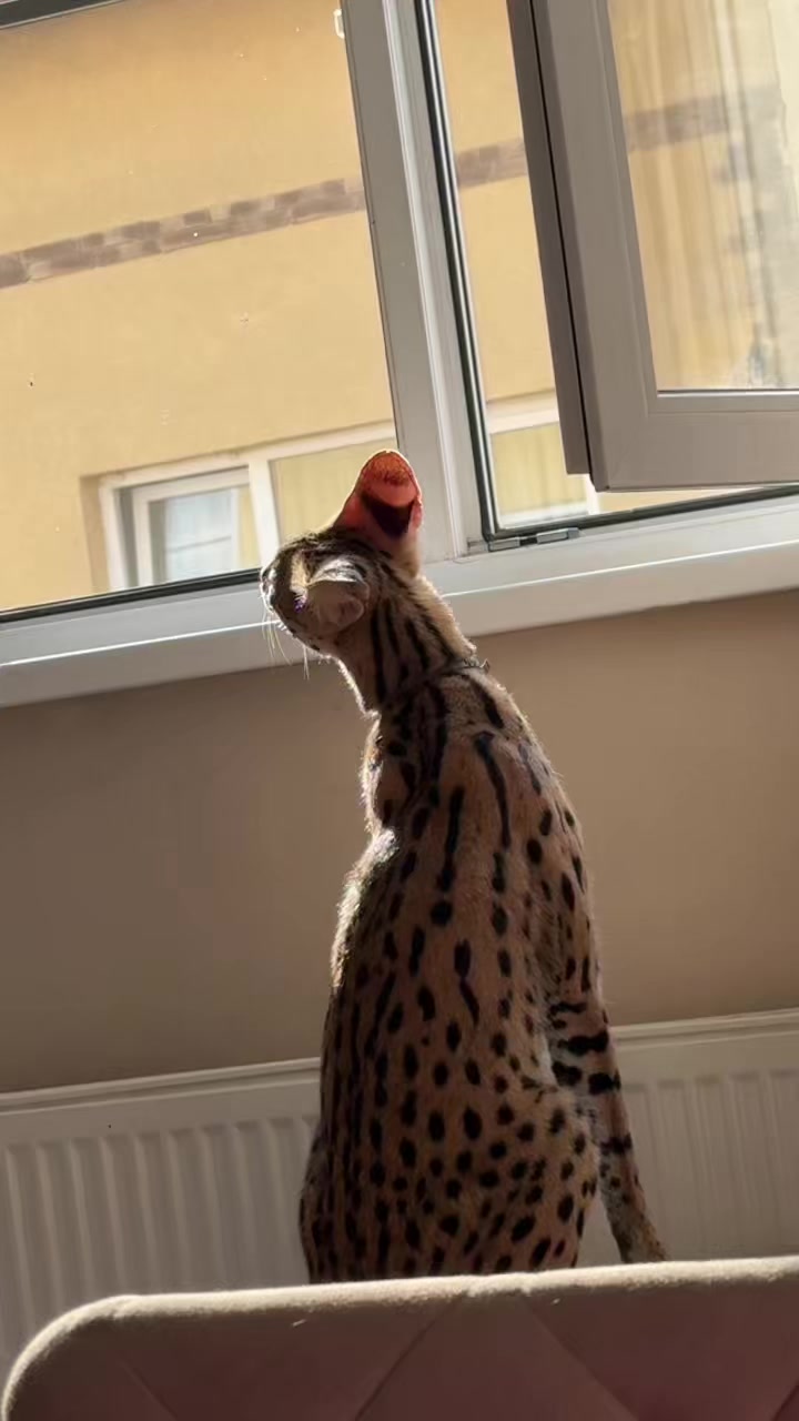 @Иса