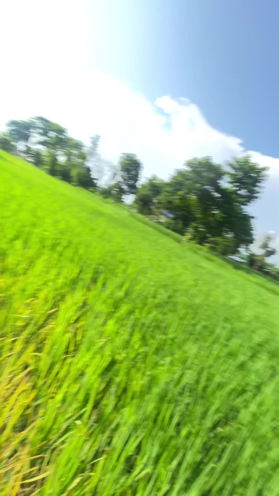 @Rikisha Nepal