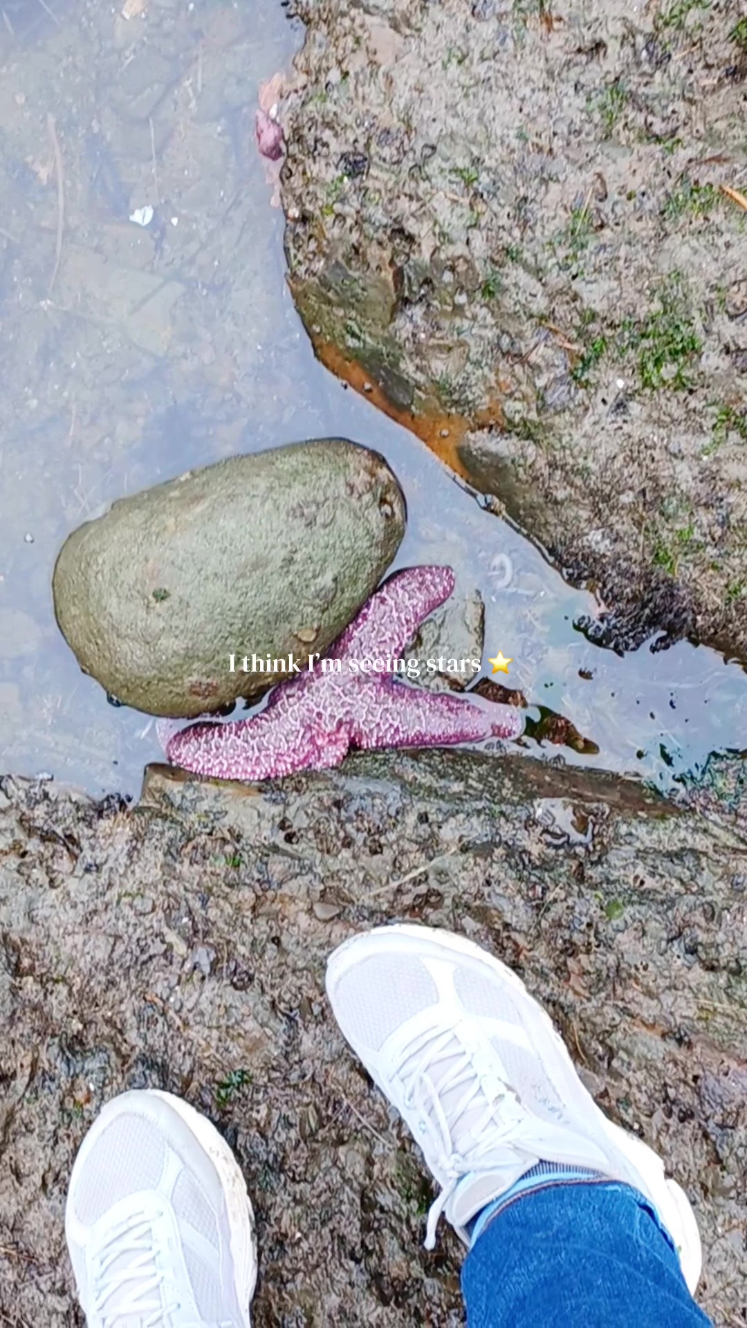 @Southern Oregon Coast