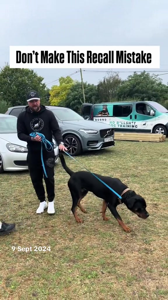 @SouthendDogTraining