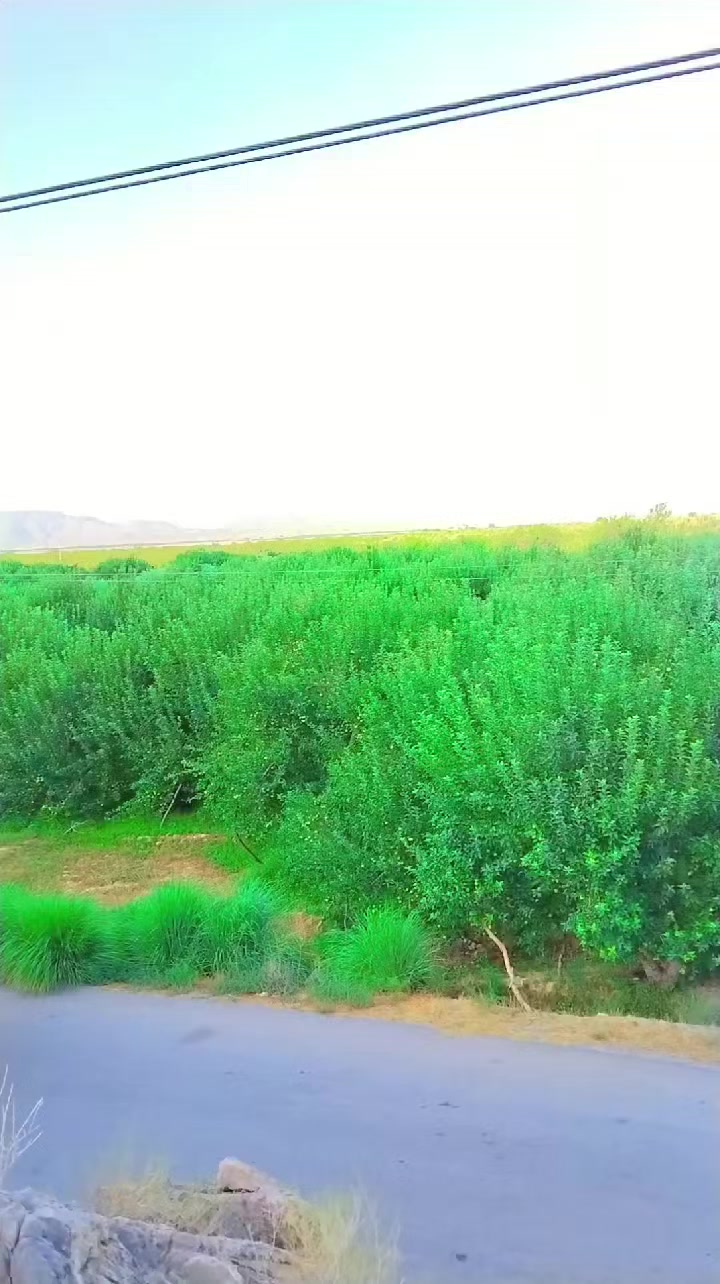 @Muhibkurd115