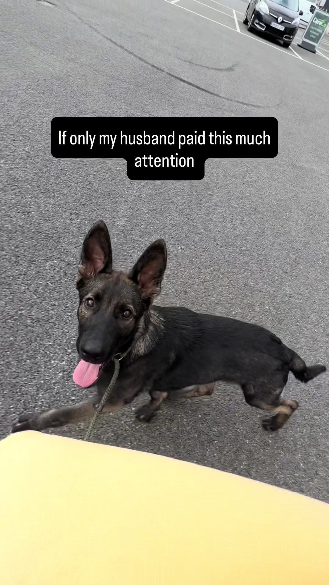 @Vonbekkas GSD