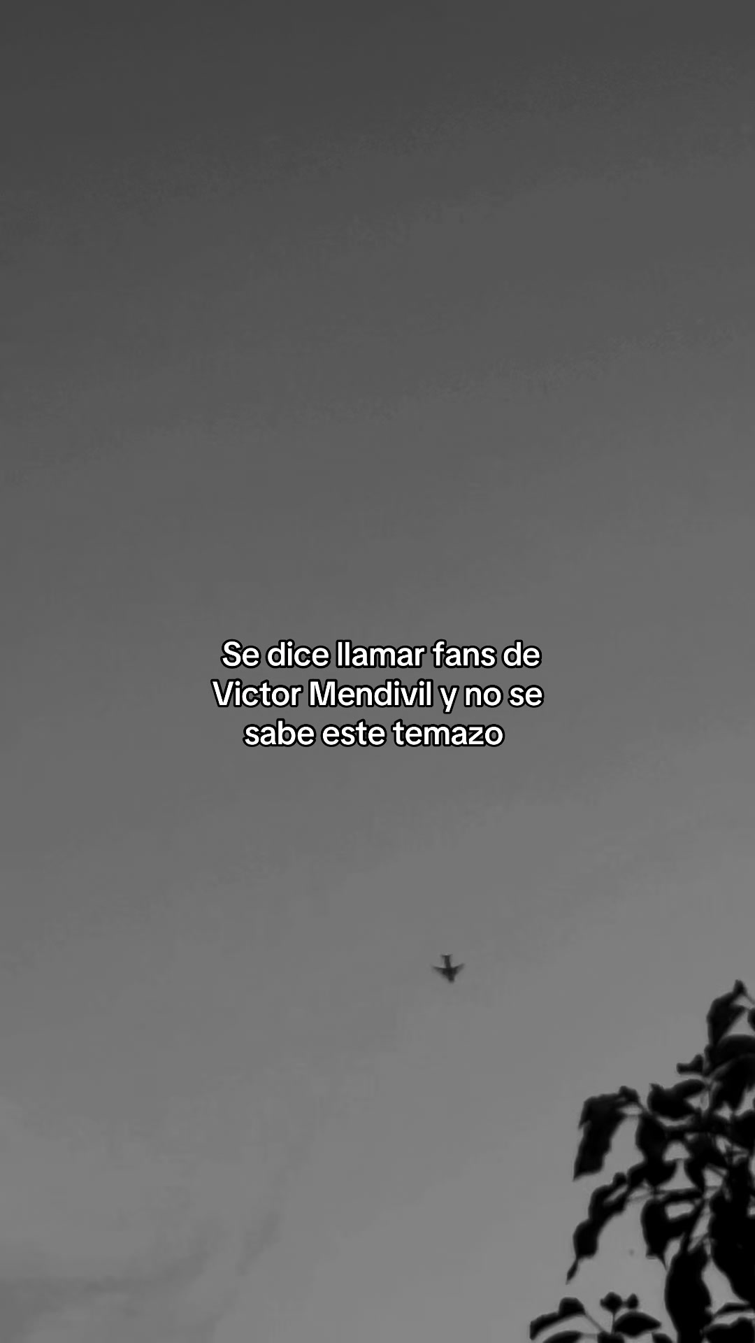 @daniii🤘🏻