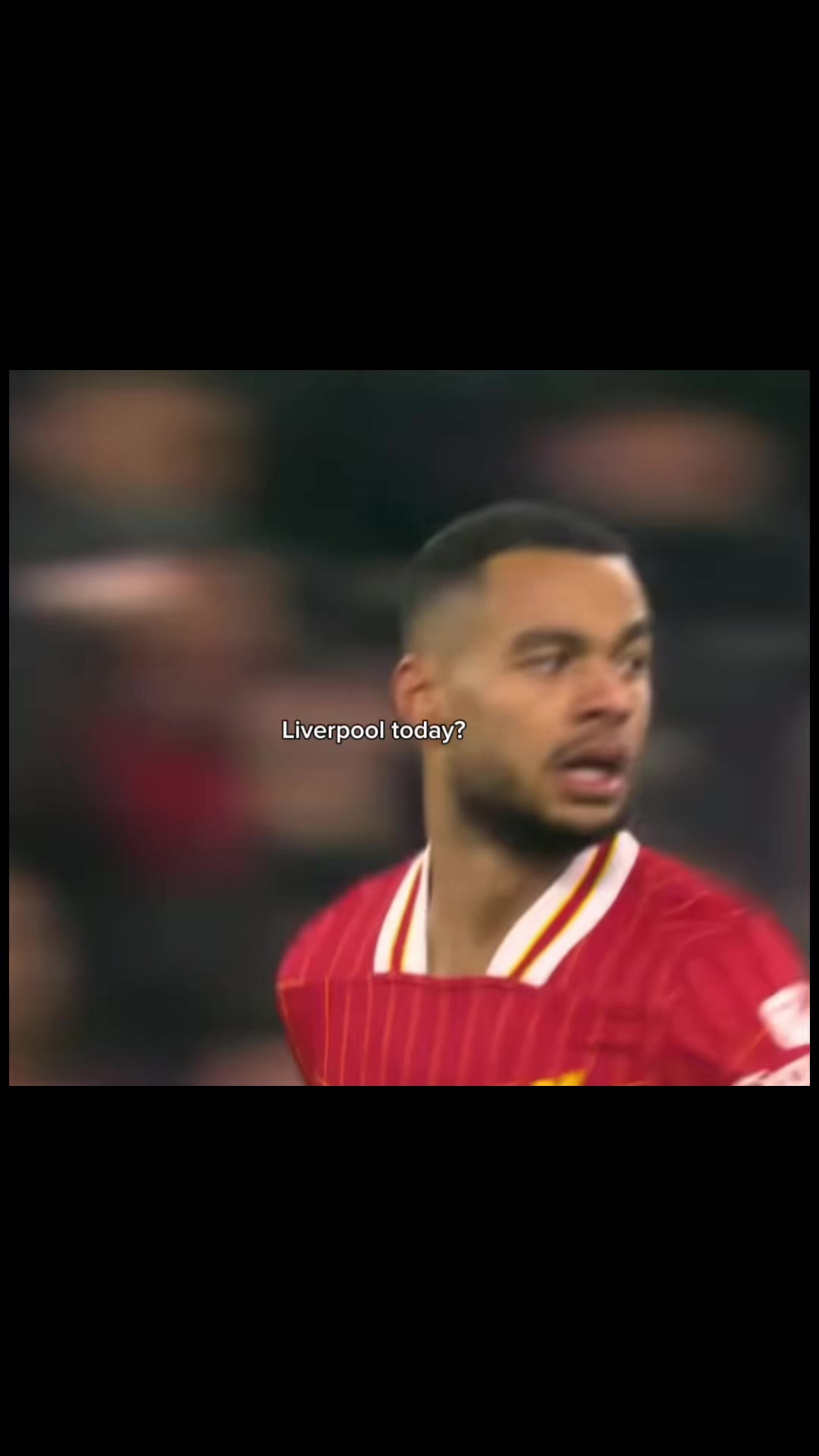 @thfc.teddy