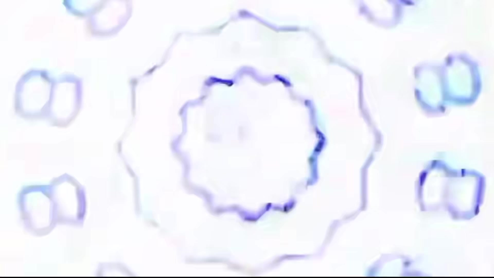 @Skibidi boi😈