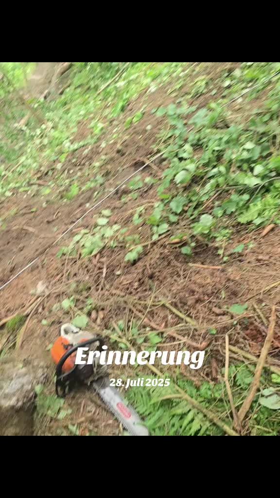 @feichtnvernichter