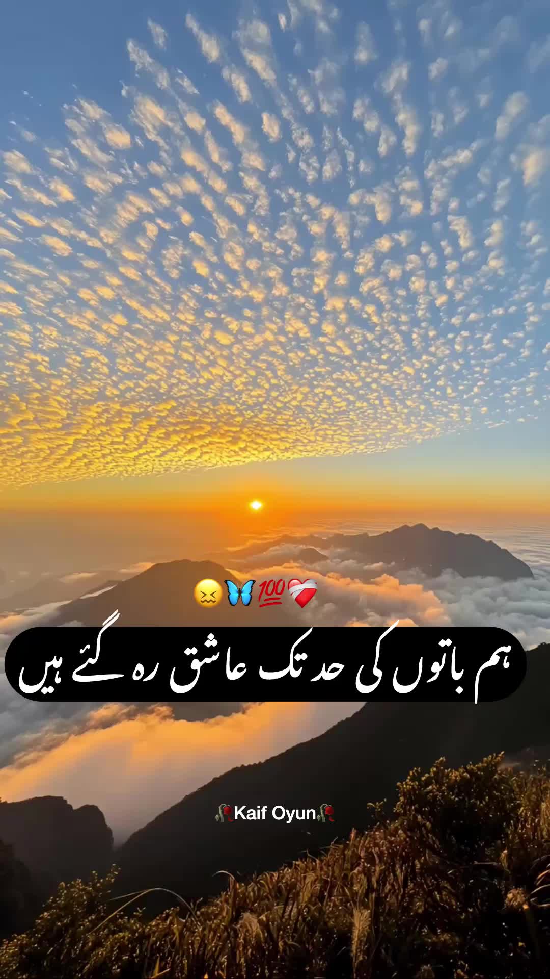 @Kaif Oyun