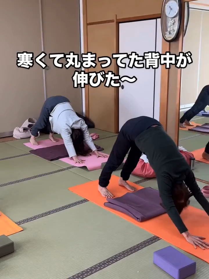 @yokko_yoga2016