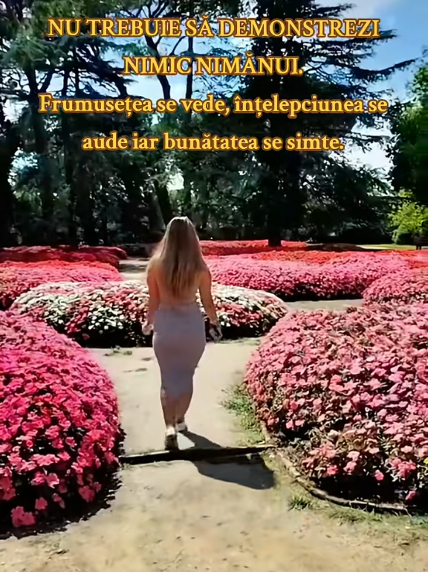 @🌸𝑵𝑨𝑹𝑪𝑰𝑺𝑨🌸