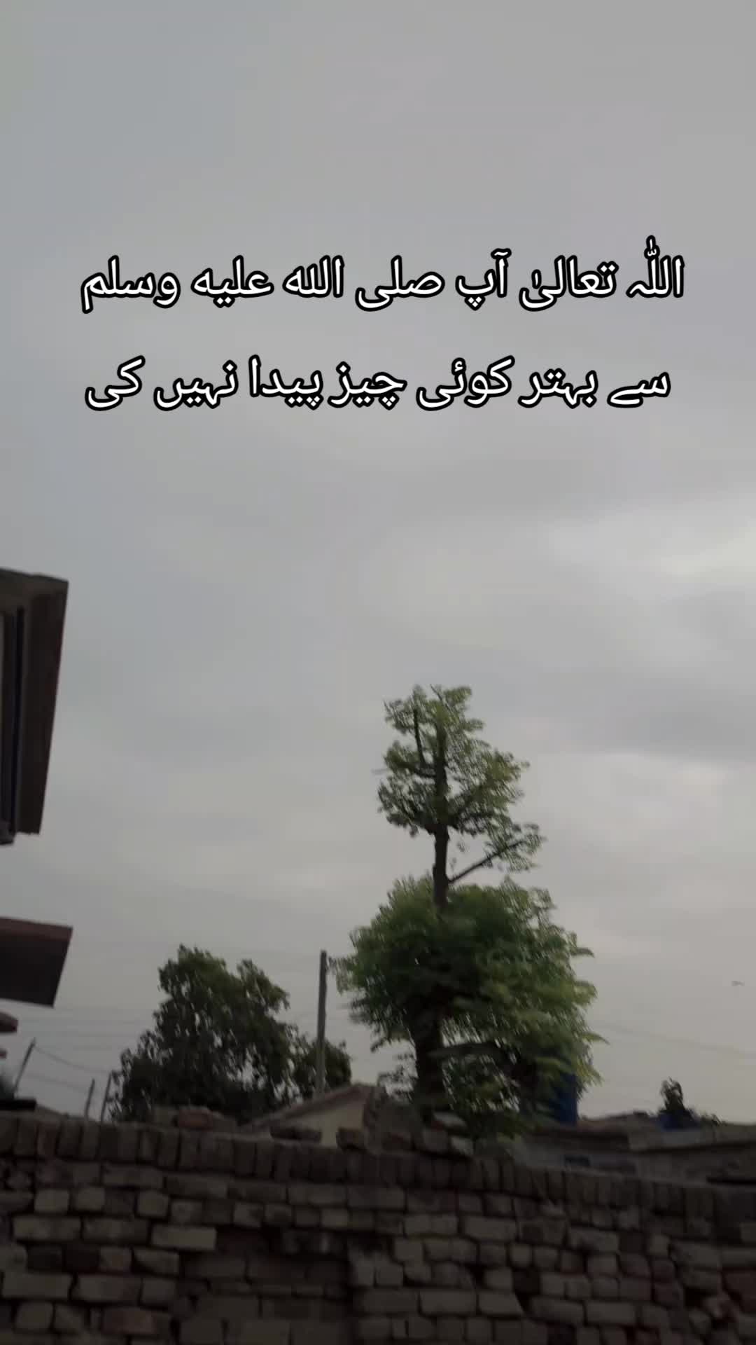 @★ دل کی تحریر ★