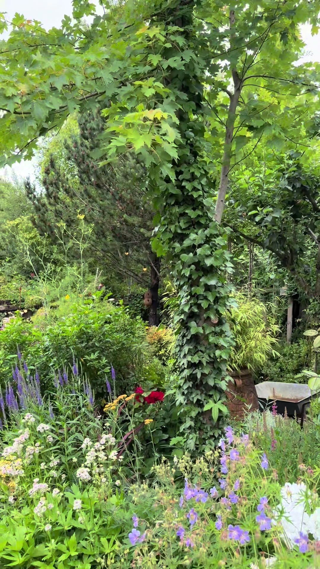 @Brookcottage
