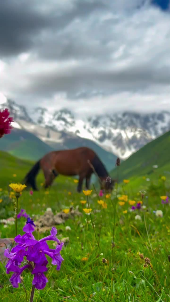 @დიდება უფალს ❤️
