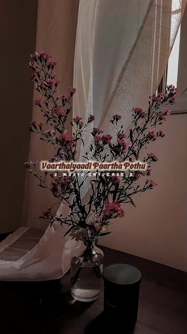 @&hearts;𝙈𝙐𝙎𝙄𝘾 𝙐𝙉𝙄𝙑𝙀𝙍𝙎𝙀&hearts;