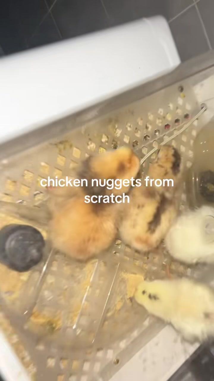 @bianca
