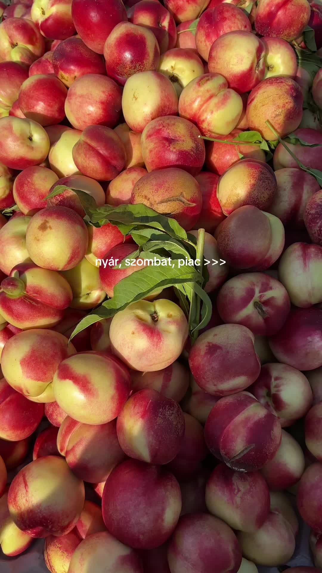 @kallósnoémi
