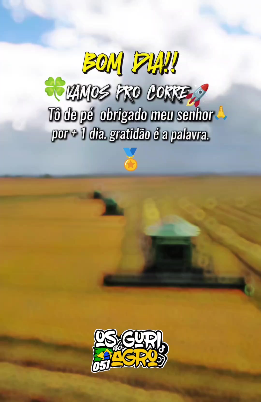 @osguridoagro051
