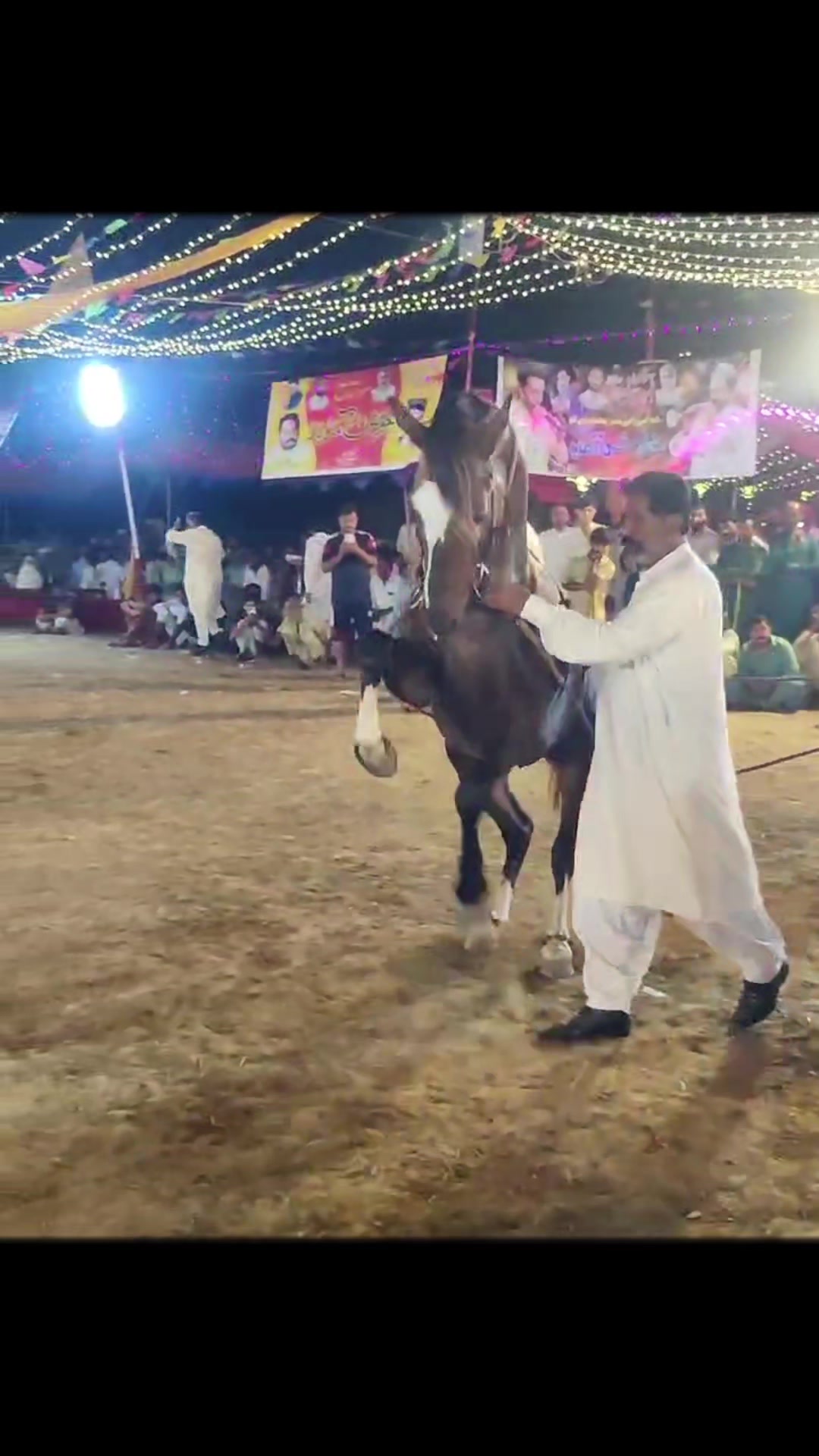 @horse dance #world