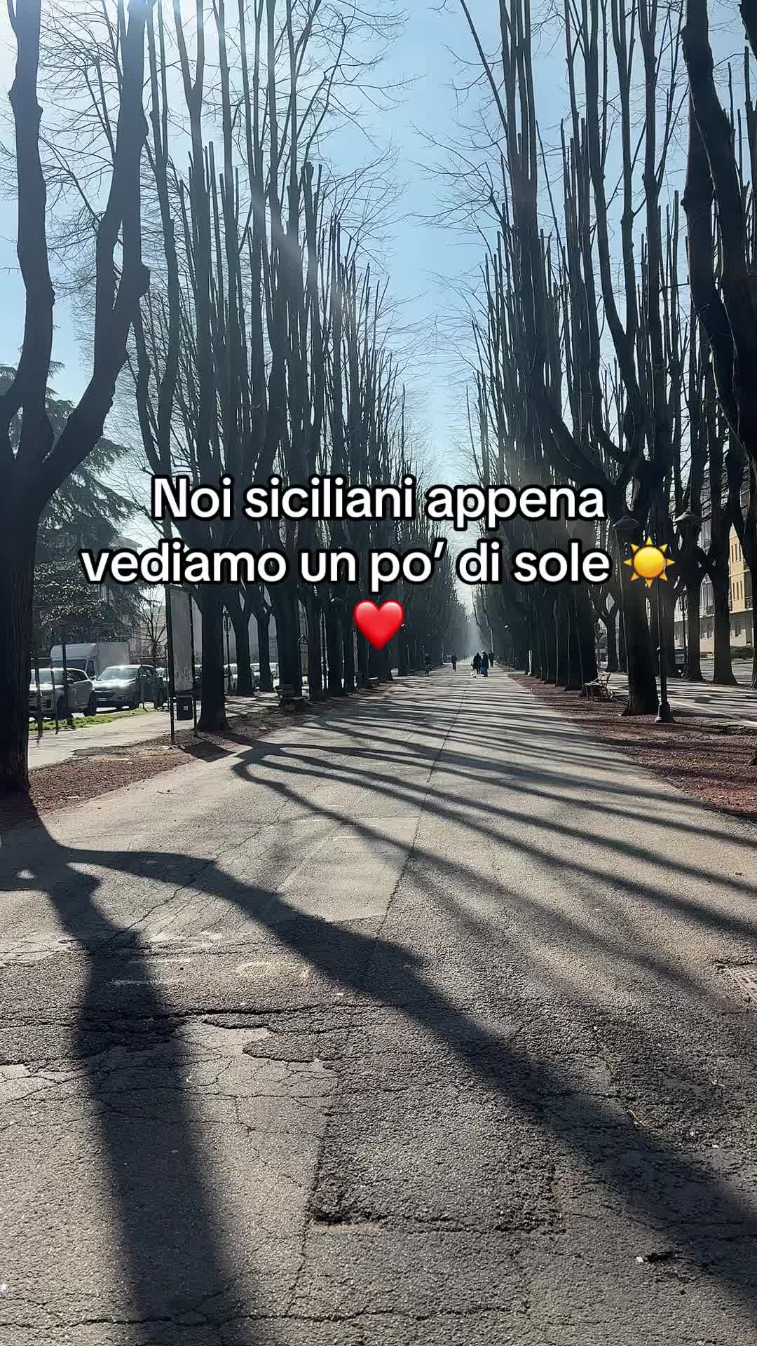 @Luana Dimartino