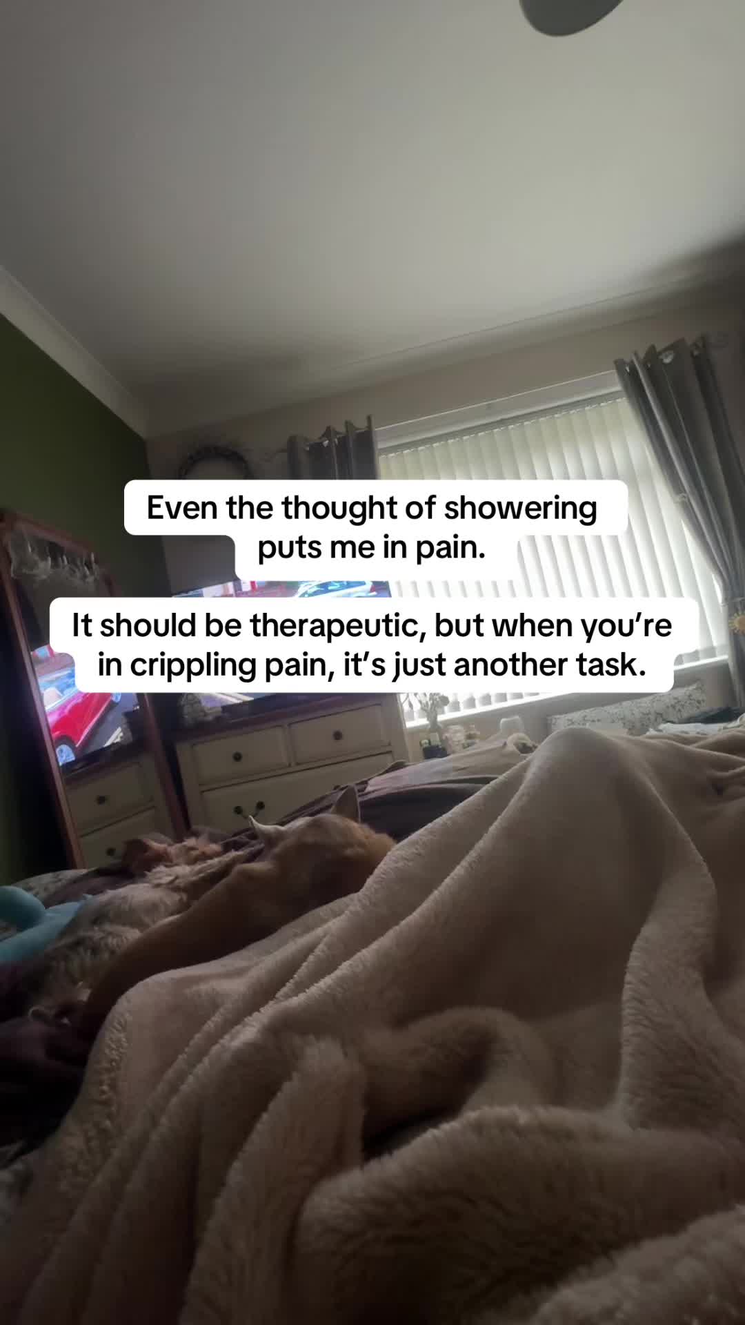 @Sarah 💭