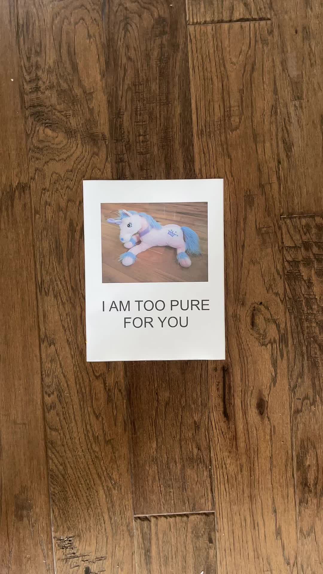 @februaryfifth2001