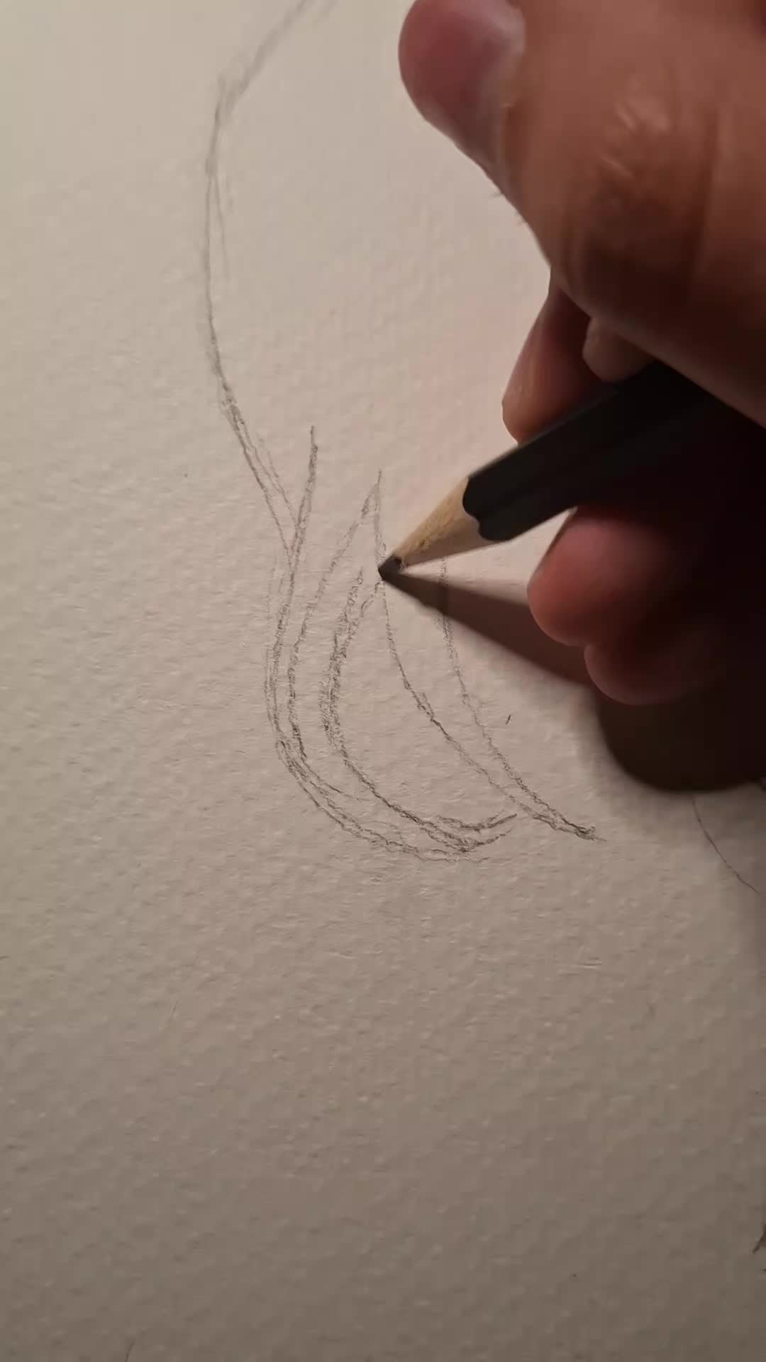 @⋆˚☆˖°⋆。° ✮˖ ࣪ ⊹⋆.˚