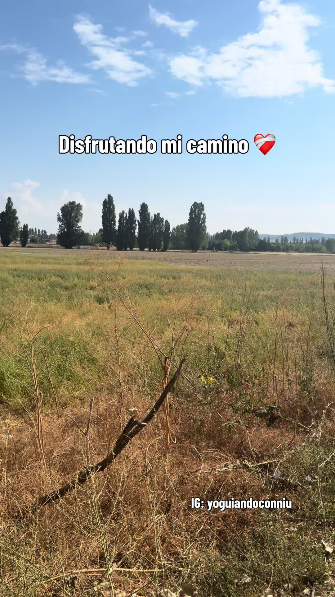 @Niuu