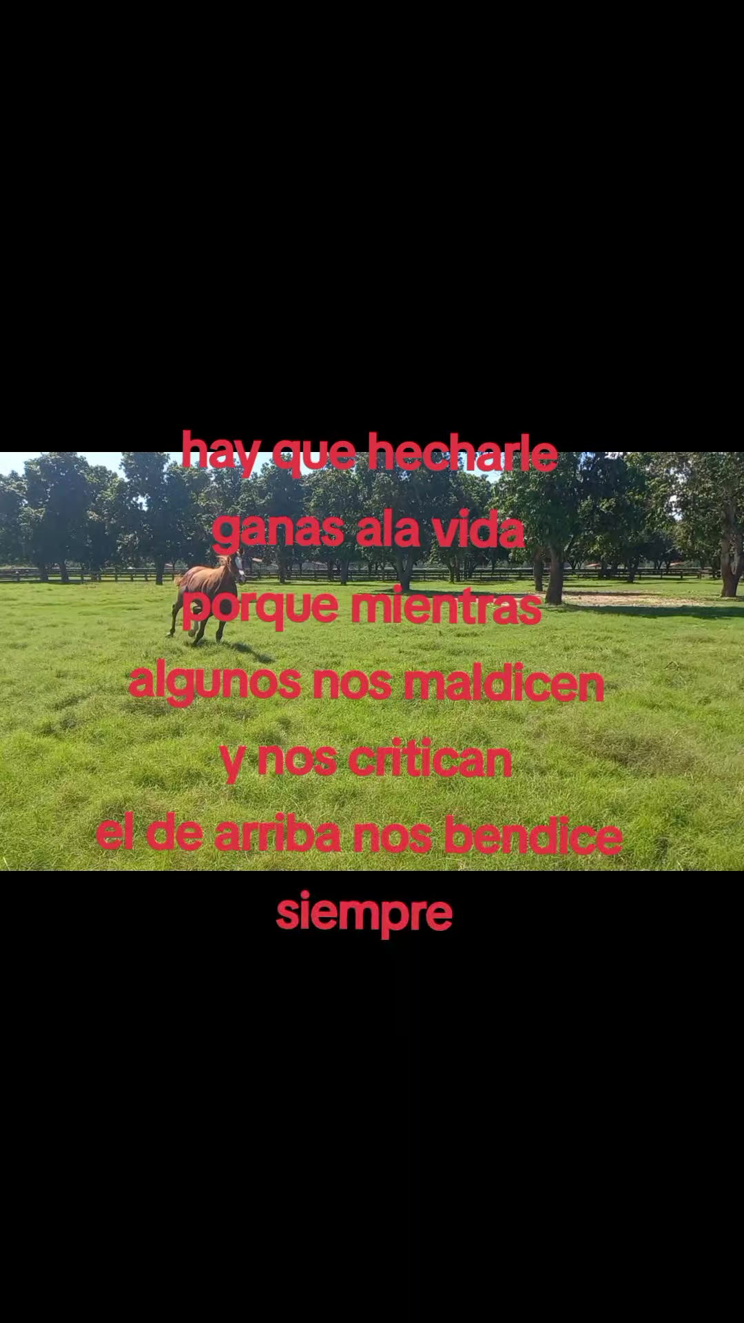 @Ranchero100%