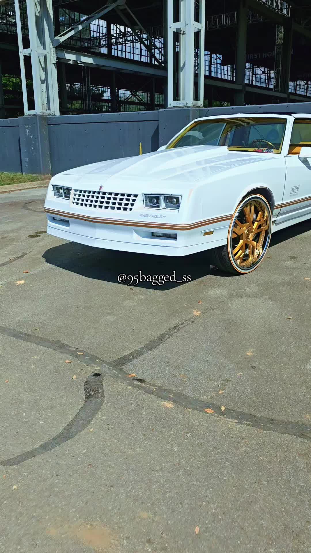 @95bagged_ss