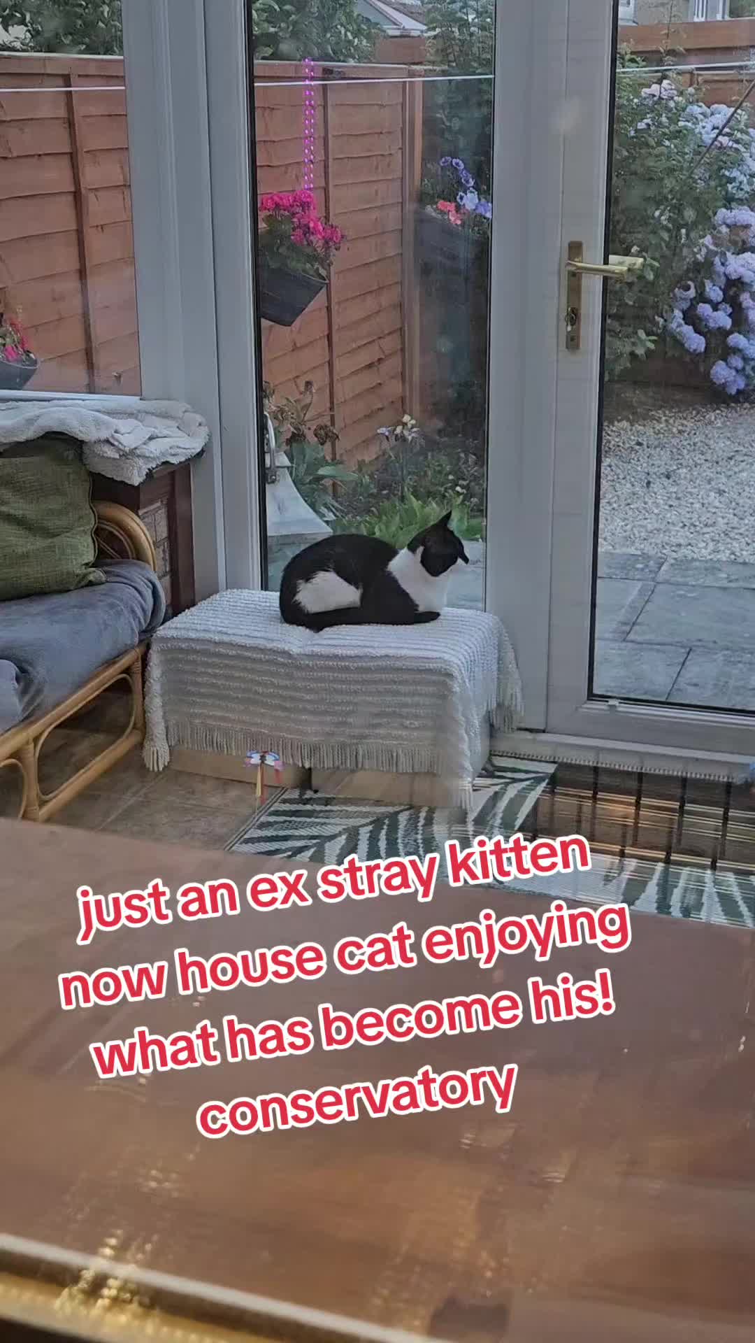 @dave42,,🏴