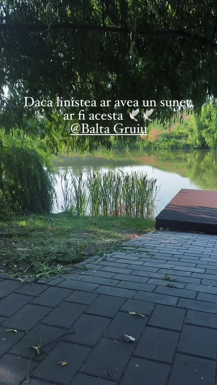 @Diana Tudose