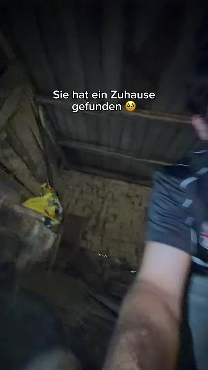@natürlich patrik