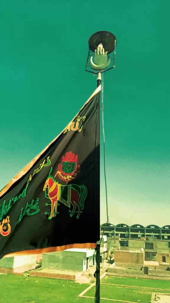 @Marib Abbas421