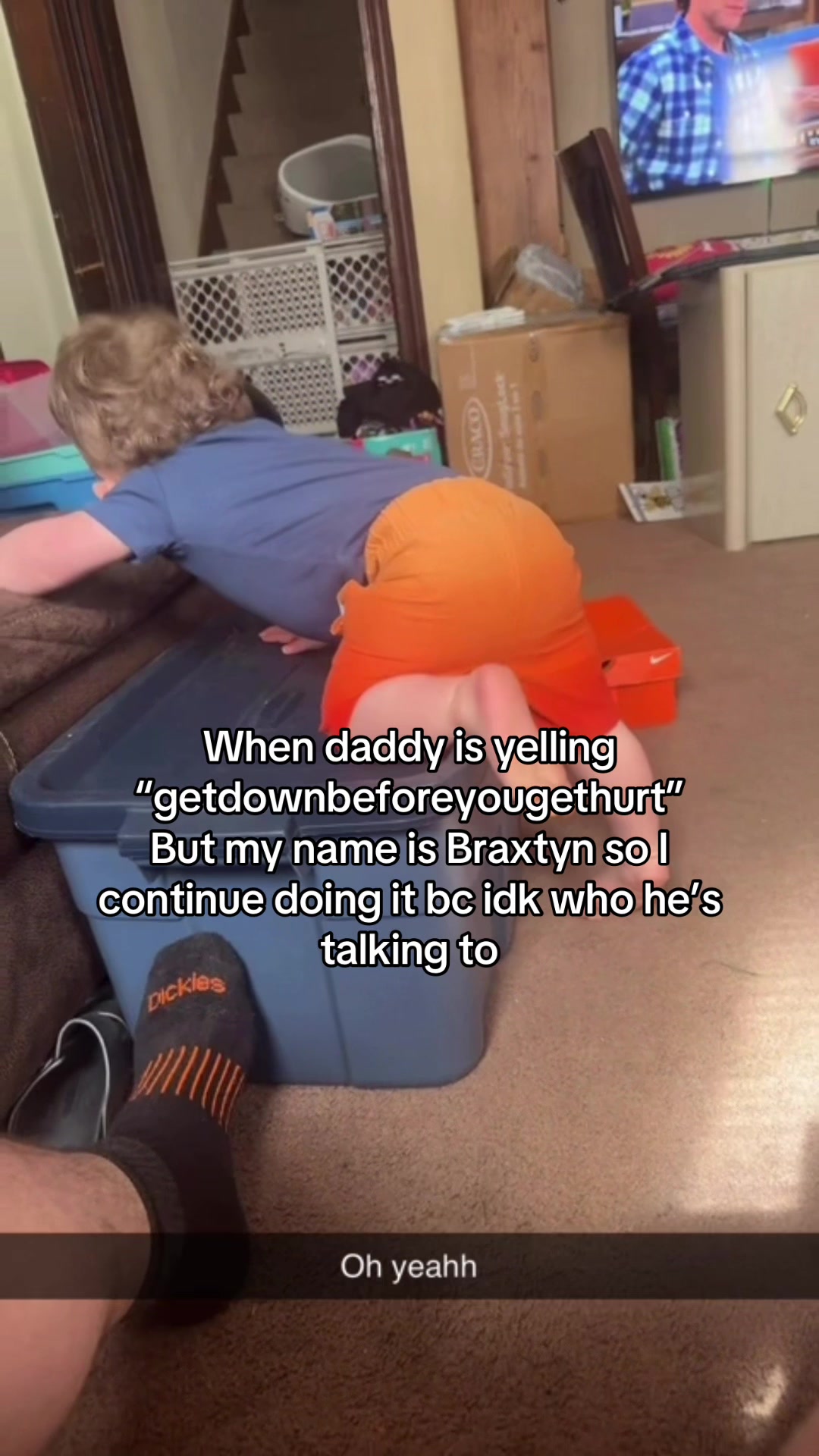@Harlee Horning
