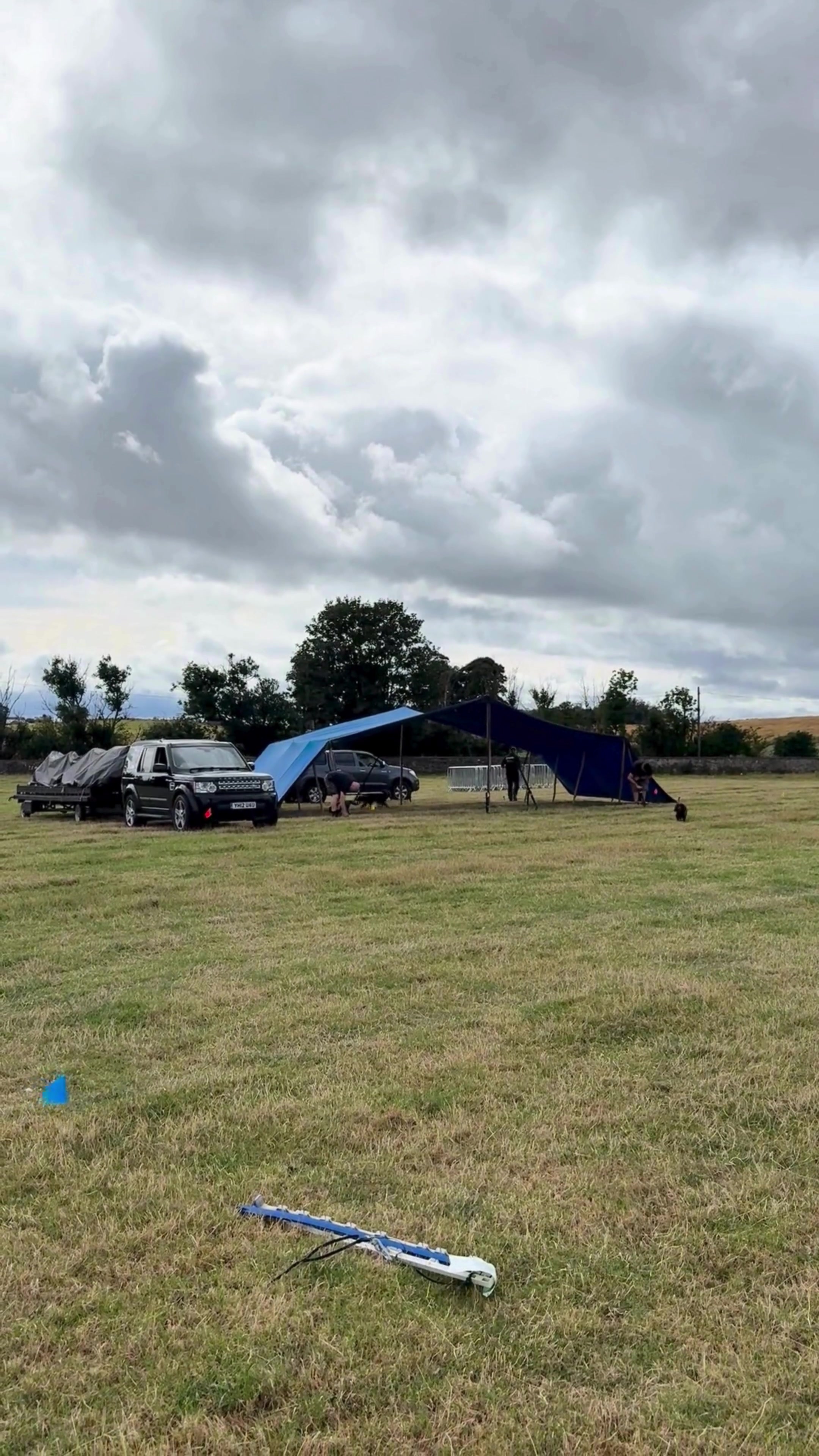 @northeastdogfestival