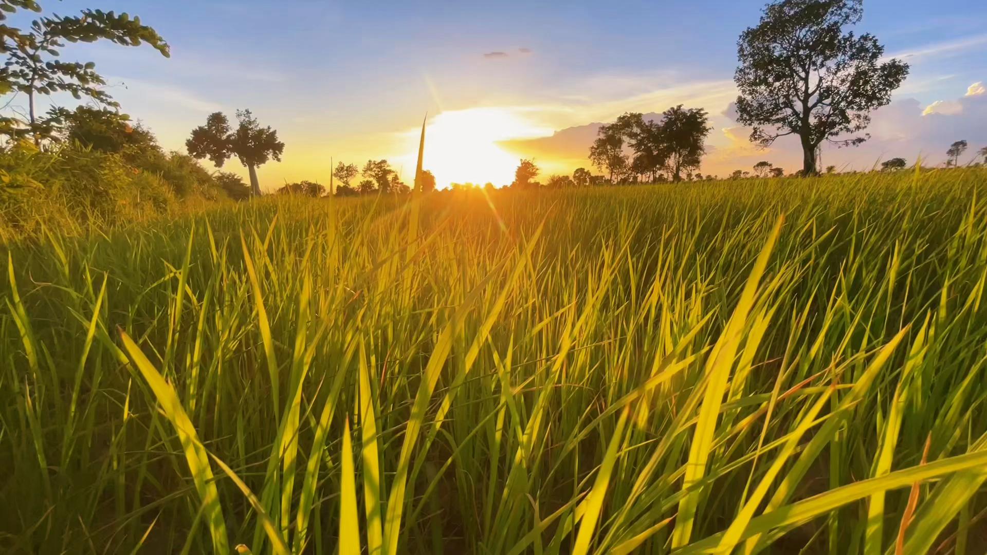@HENG-ហេង៚ 🌾🌅💛
