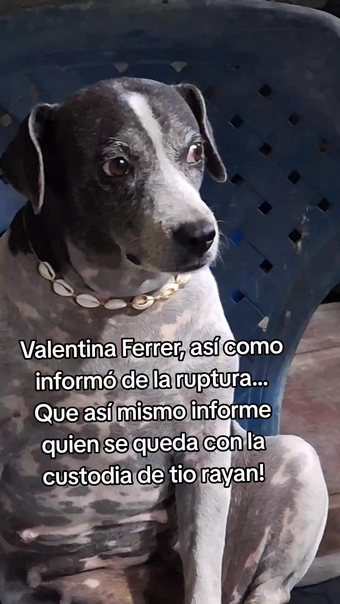 @MANCHAS 0714 OFICIAL