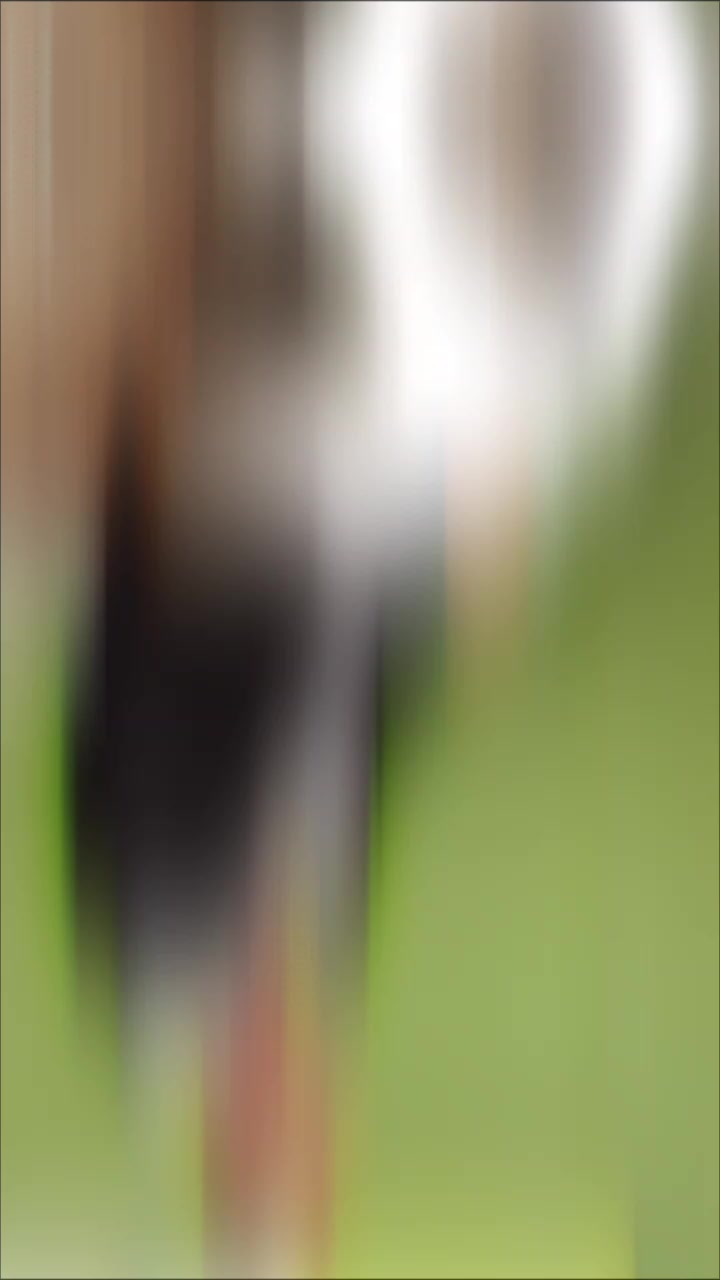 @ᴹᴿ°᭄यादव ℑᎥ࿐