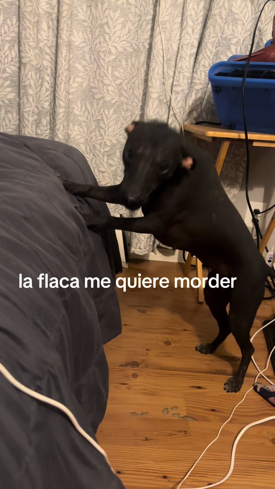 @Elcharitoopemex