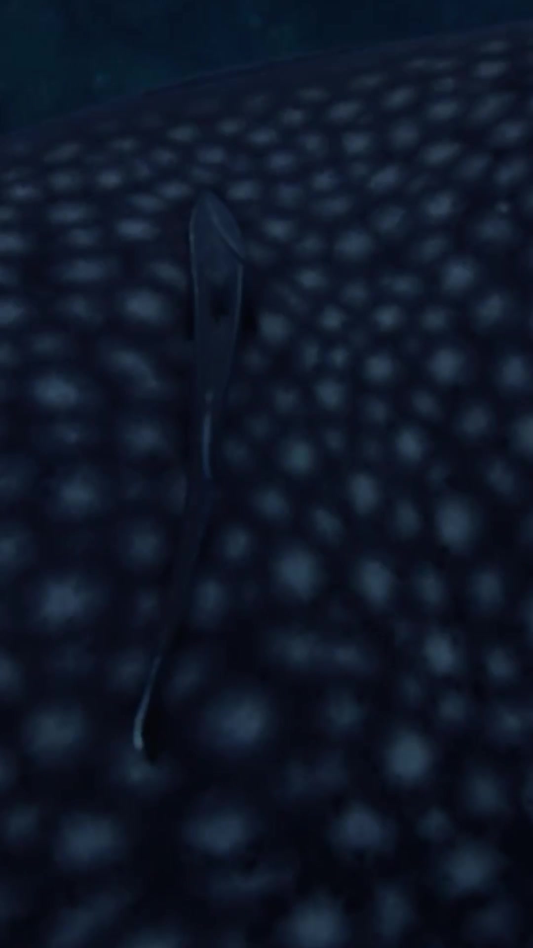 @𝐒𝐭✰𝐫𝐠𝐢𝐫𝐥