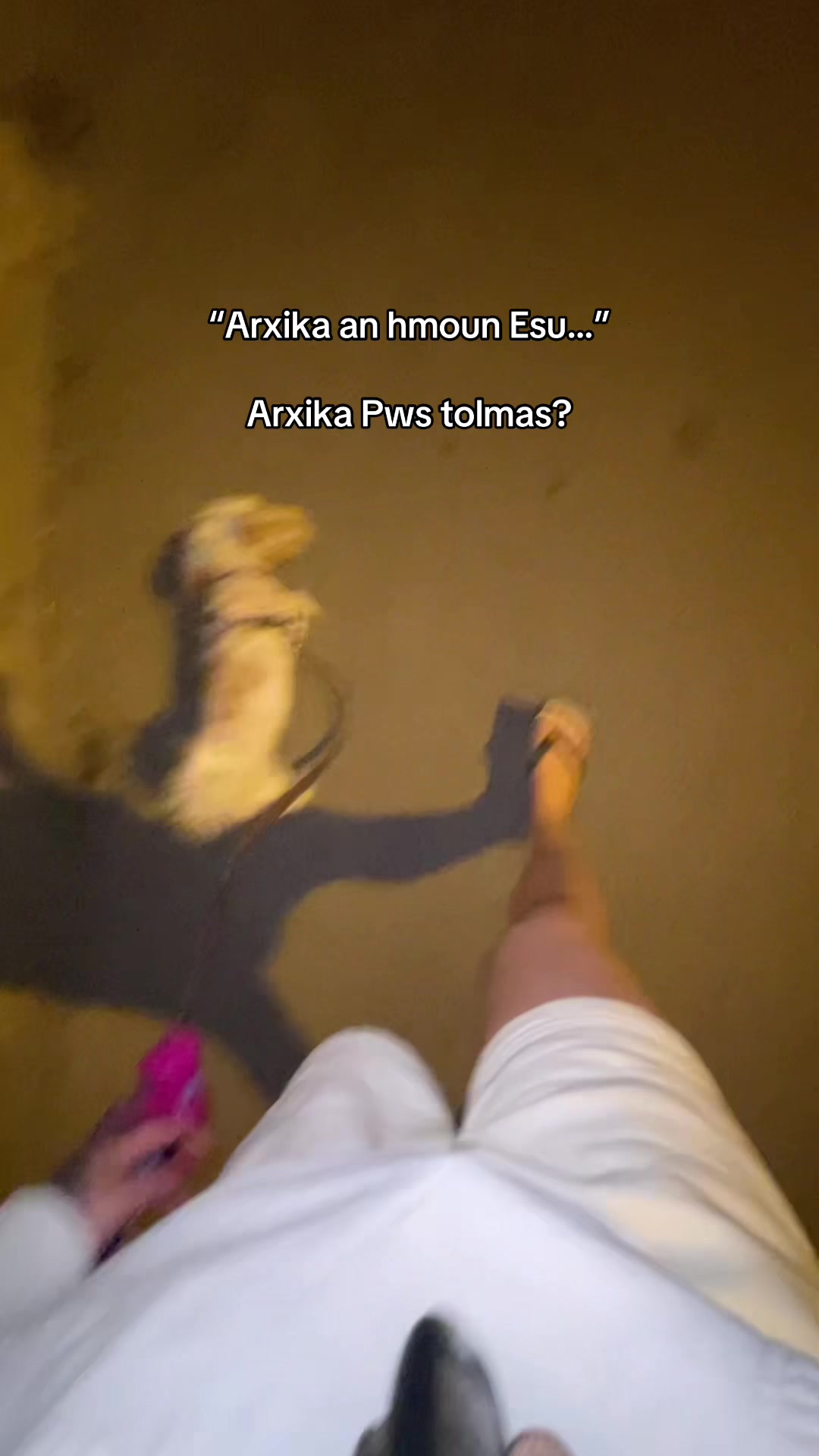 @&Alpha;&gamma;&gamma;&epsilon;&lambda;&iota;&kappa;ή &Sigma;&pi;&upsilon;&rho;&omicron;&pi;&omicron;ύ&lambda;&omicron;&upsilon;