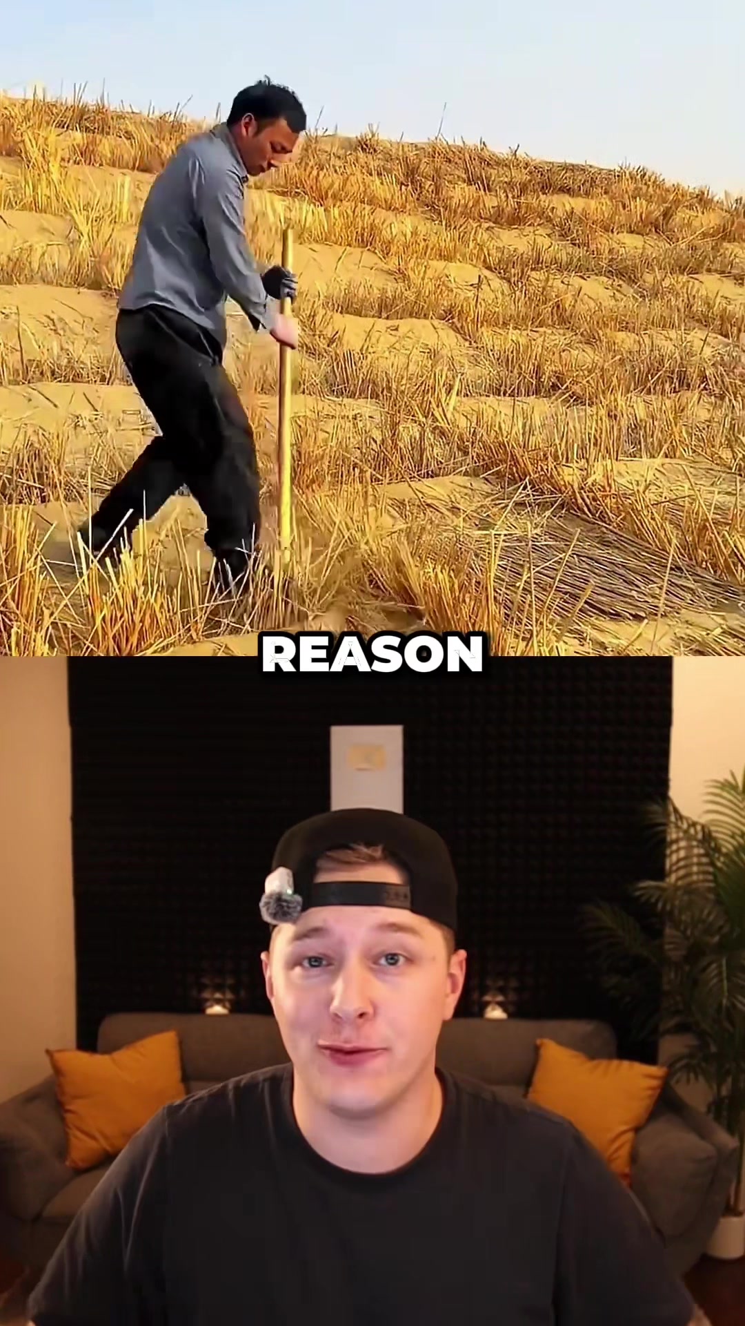 @Koztent