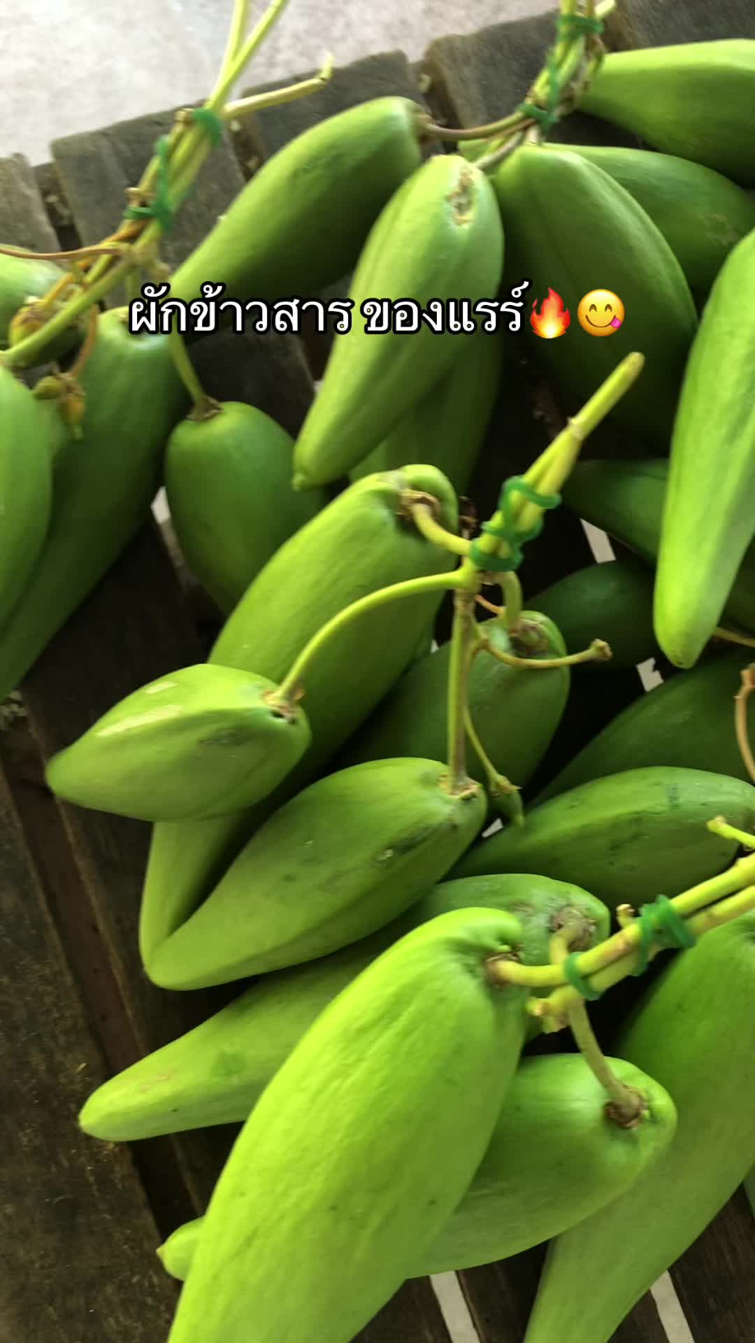 @🌿เจ๊ต่าย ขายผักป่าผักบ้าน🌿