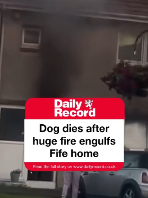 @Daily Record