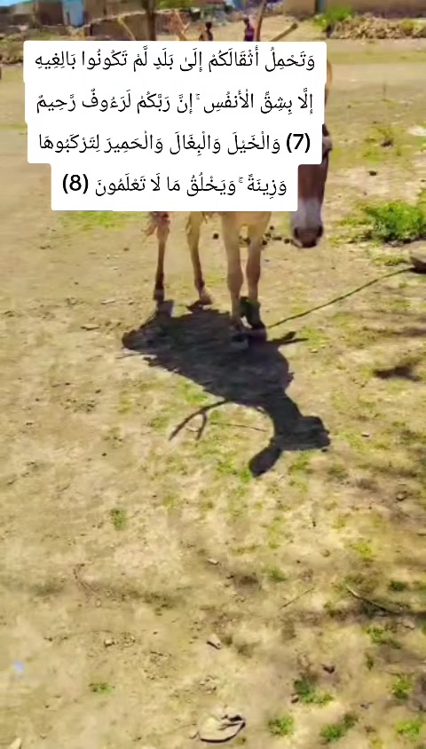 @Abwanad Heegan🧕🦋👸