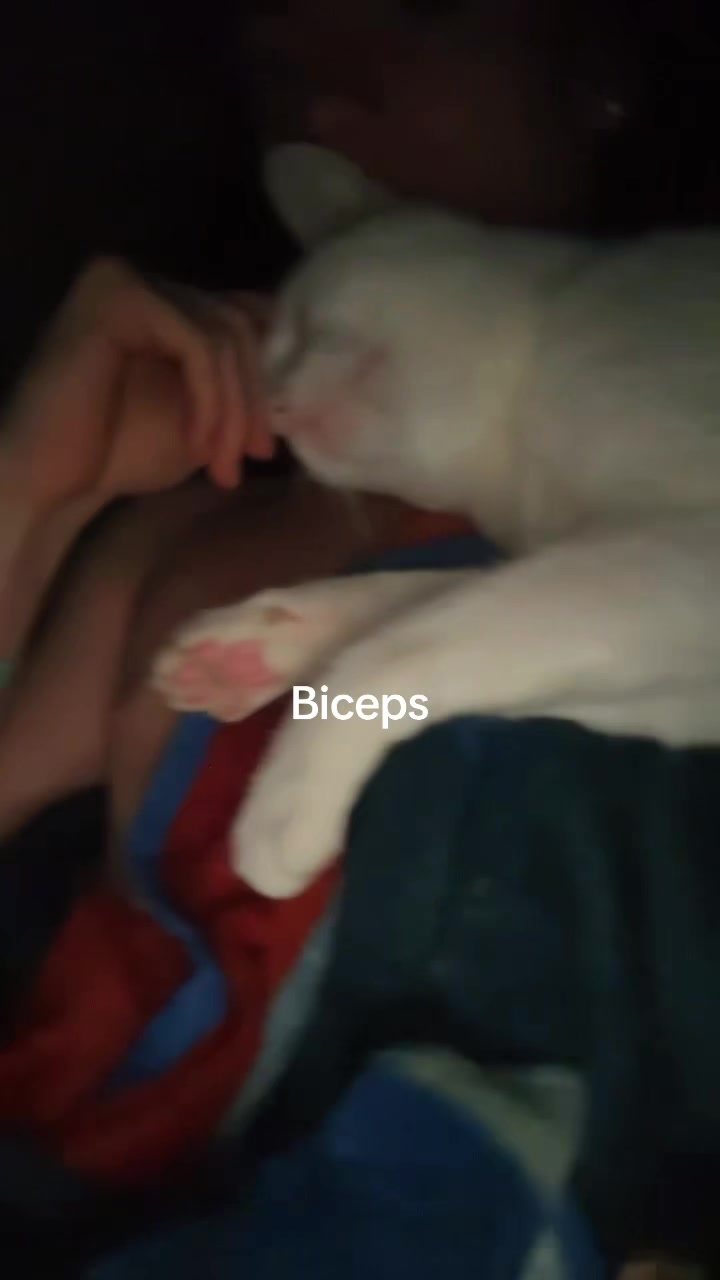@𝔟𝔯𝔞𝔦𝔩𝔬𝔫